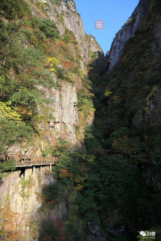 庆云农商银行：坚守支农定位 推动农业优化升级